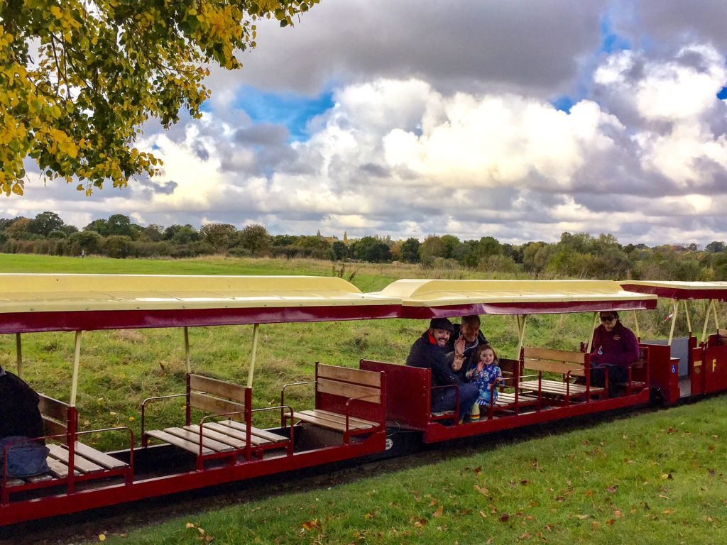 ferry meadows train