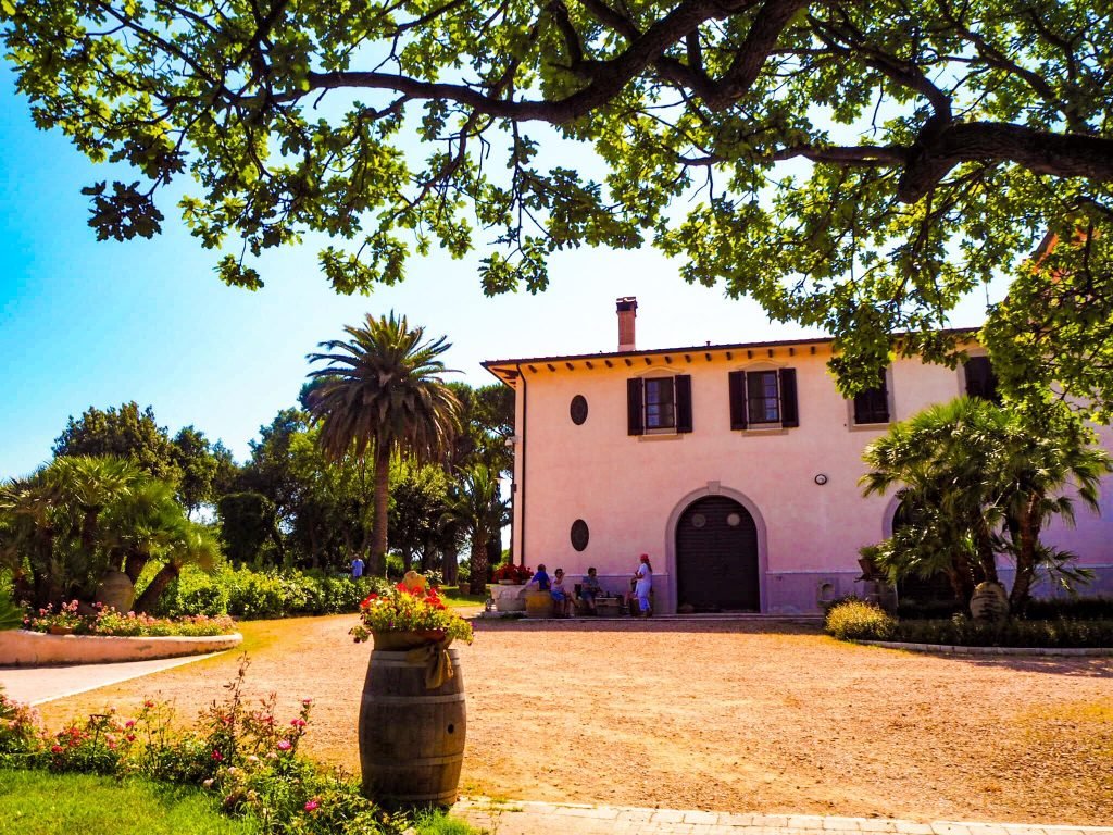Vineyard Tenuto Poggio Rosso - 9 unmissable things to see near San Vincenzo, Tuscany with kids