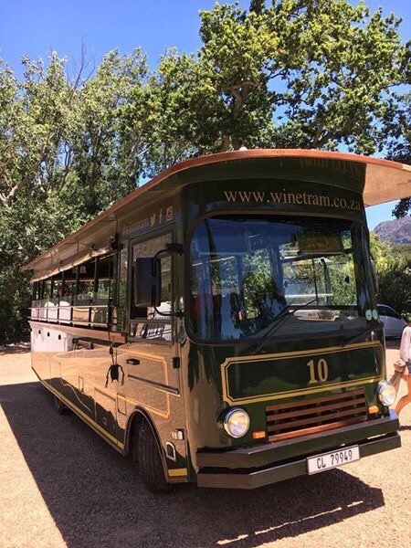 Wine tram - How to win at wine tasting in South Africa