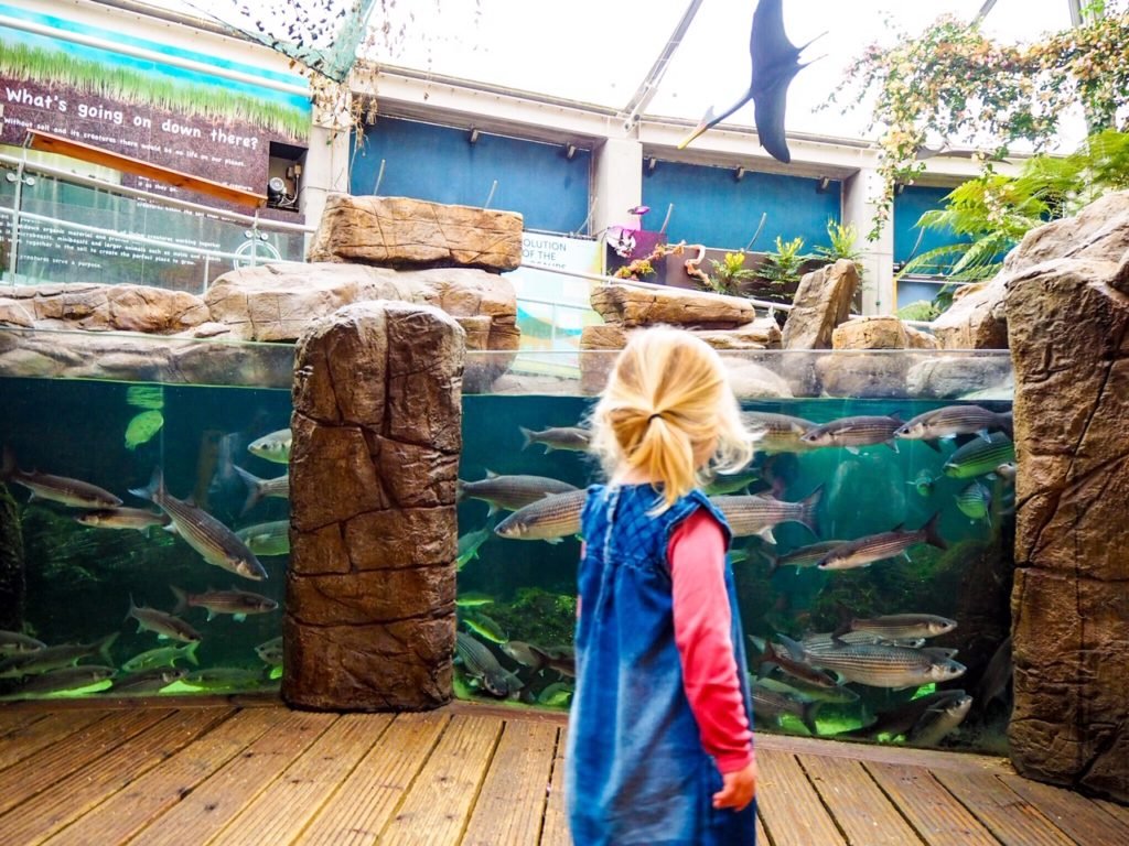 Bristol aquarium