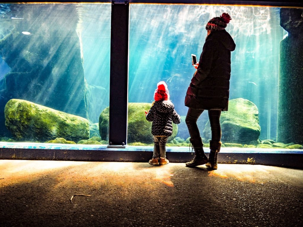 Bristol Zoo Aquarium