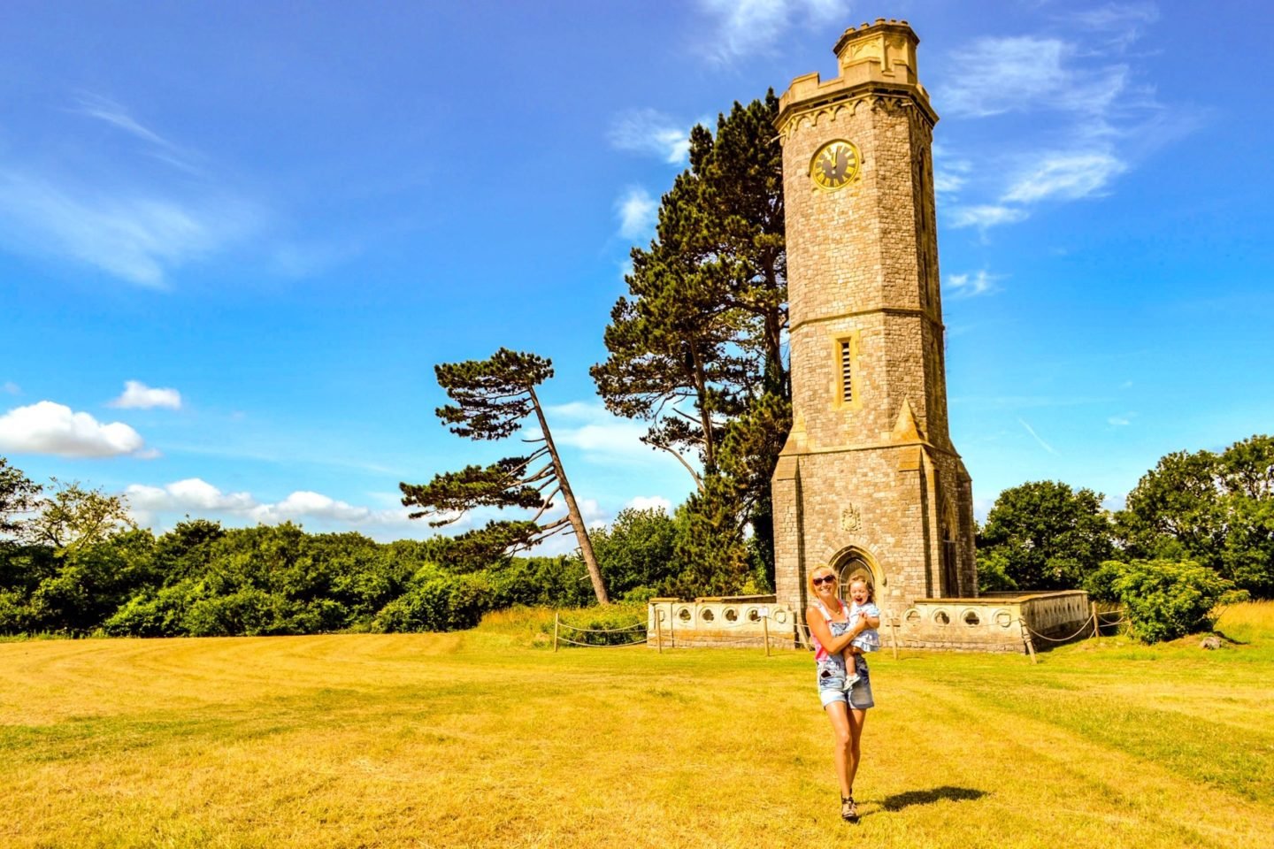 Wild Place tower meadow