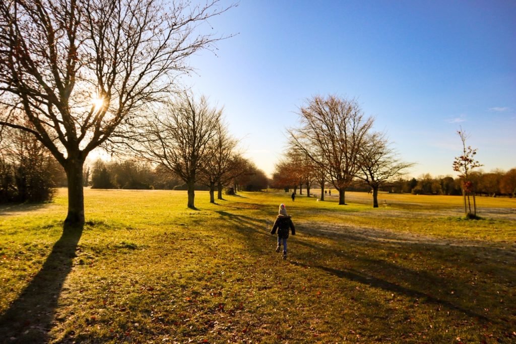 The Downs Bristol