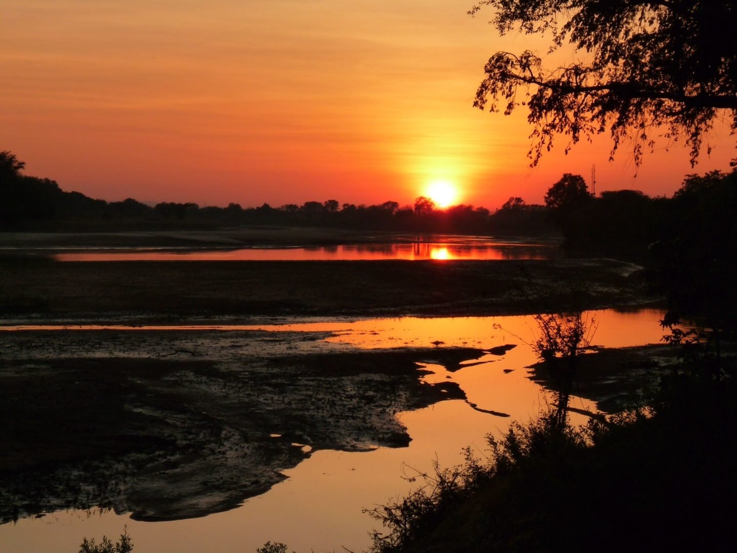 Zambia River Luangwa - sunrise
