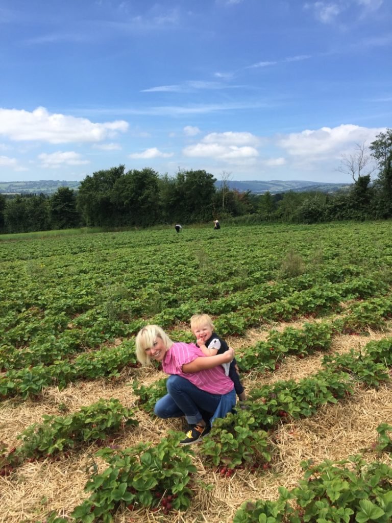 where to go strawberry picking near Bristol