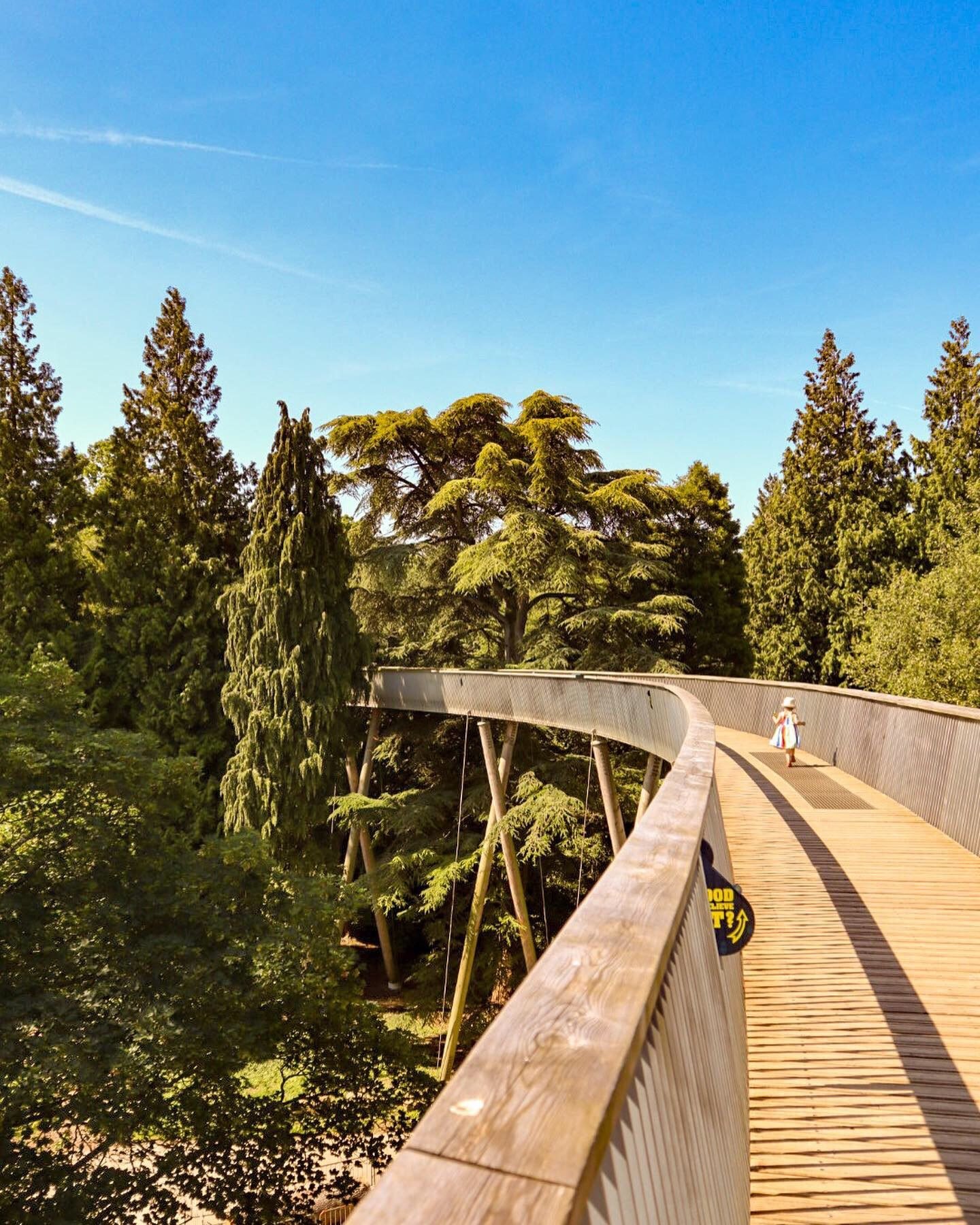 Treetop walkway, Westonbirt Arboretum