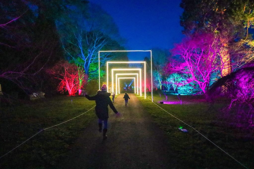 10 Best Christmas light trails near Bristol This Bristol Brood