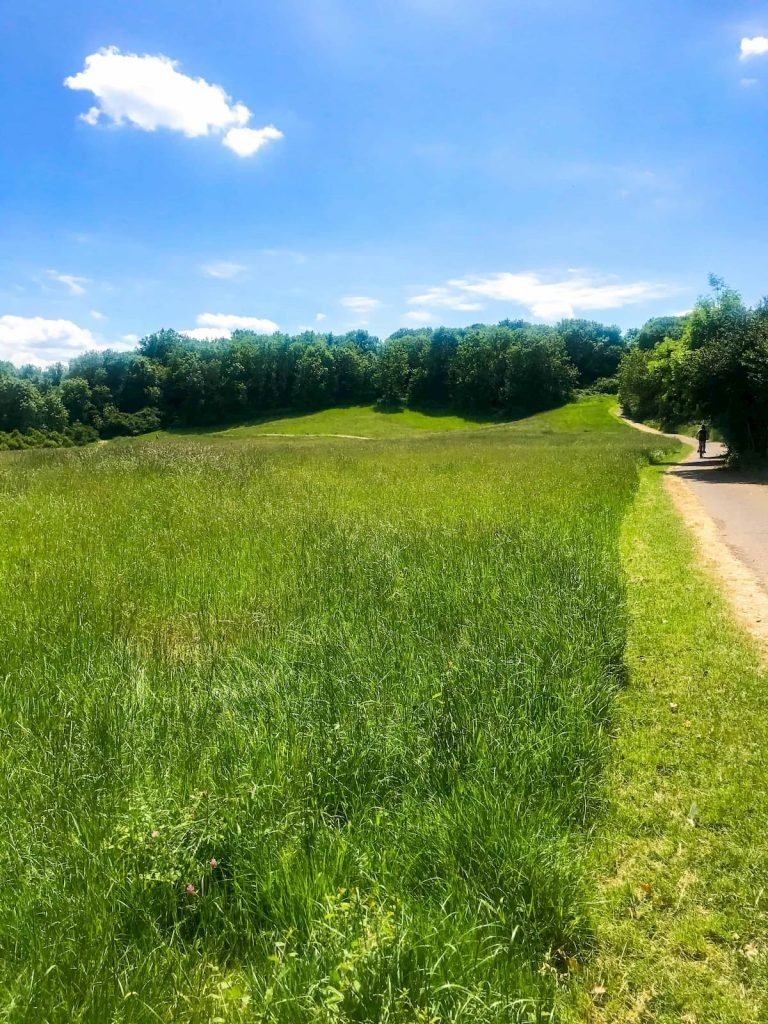 Stockwood Open Space, Bristol