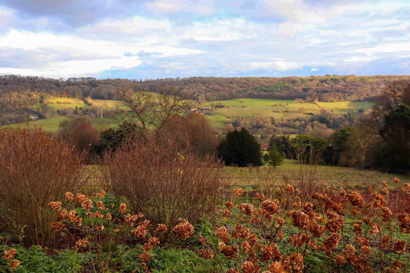 Limply Stoke valley - View from American Museum and gardens