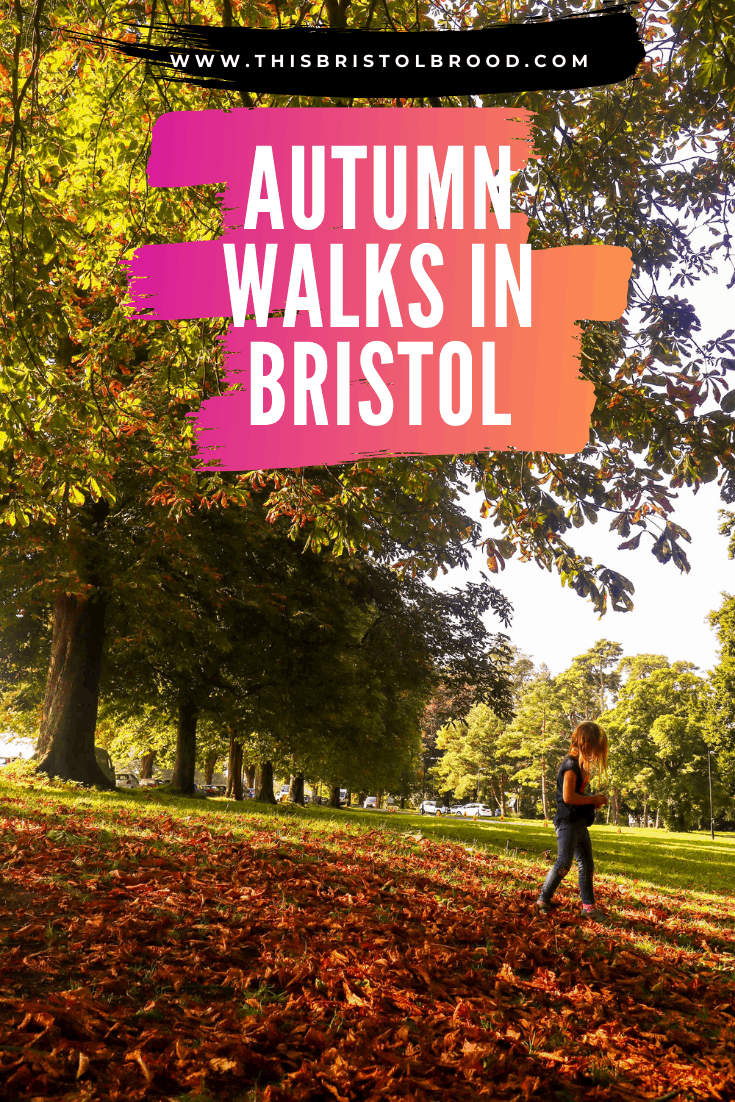 Family-friendly autumn walks in Bristol