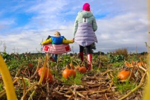 October half term and Halloween events in Bristol 