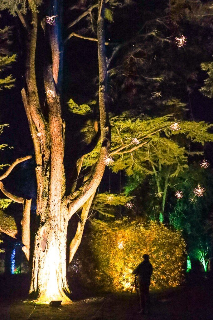 Westonbirt magical illuminated outdoor experience