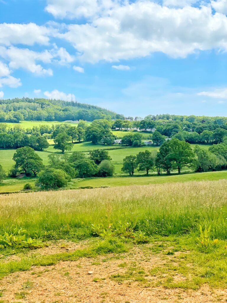 Corry Valley, Blackdown Hills, Dalwood, Devon