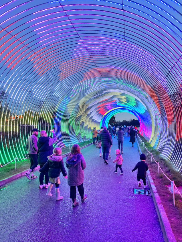 Best Christmas light trails near Bristol 2024 This Bristol Brood