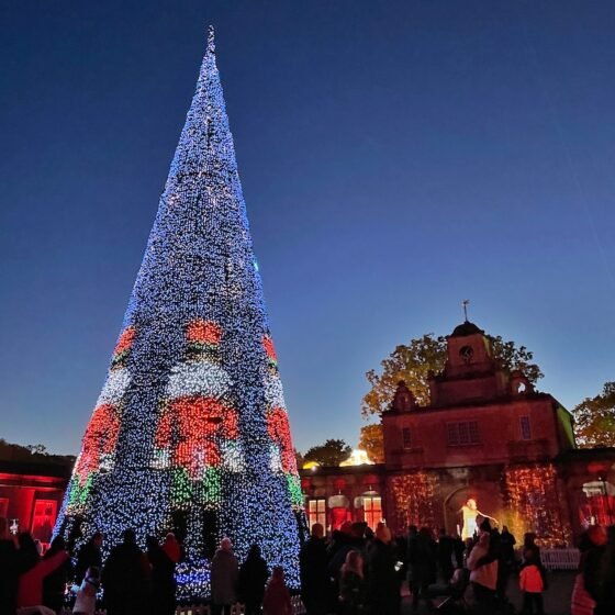 What’s on this Christmas in Bristol? Festive activities for kids