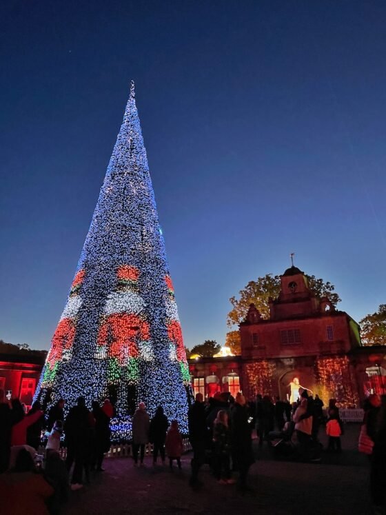 What’s on this Christmas in Bristol? Festive activities for kids