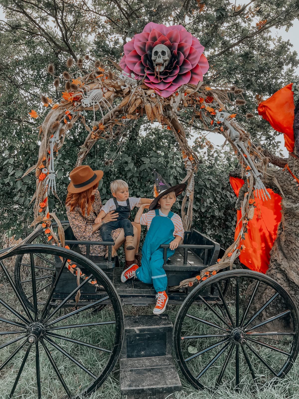 Pumpkin Picking patch Bristol