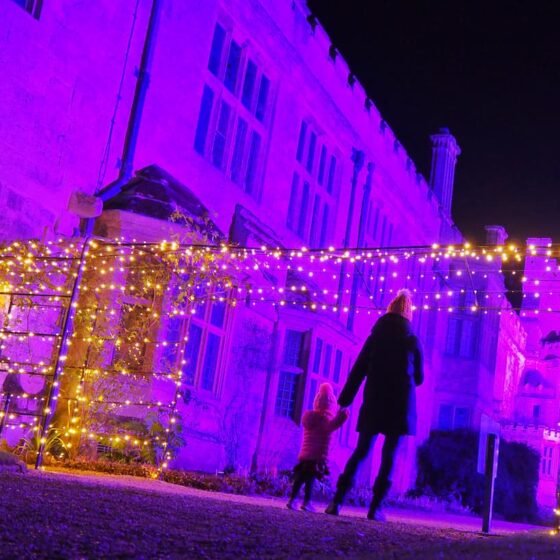 Best Christmas light trails near Bristol 2024