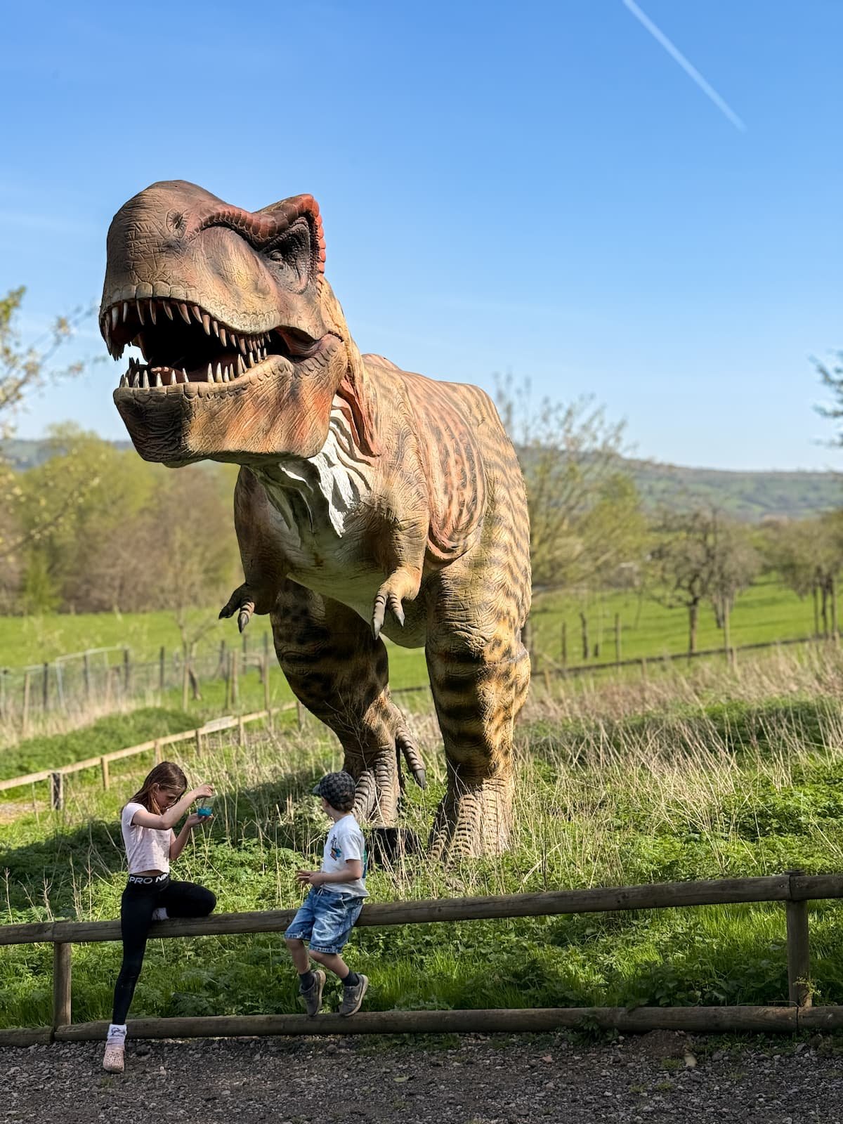 Avon valley adventure park dinosaur valley t rex bristol