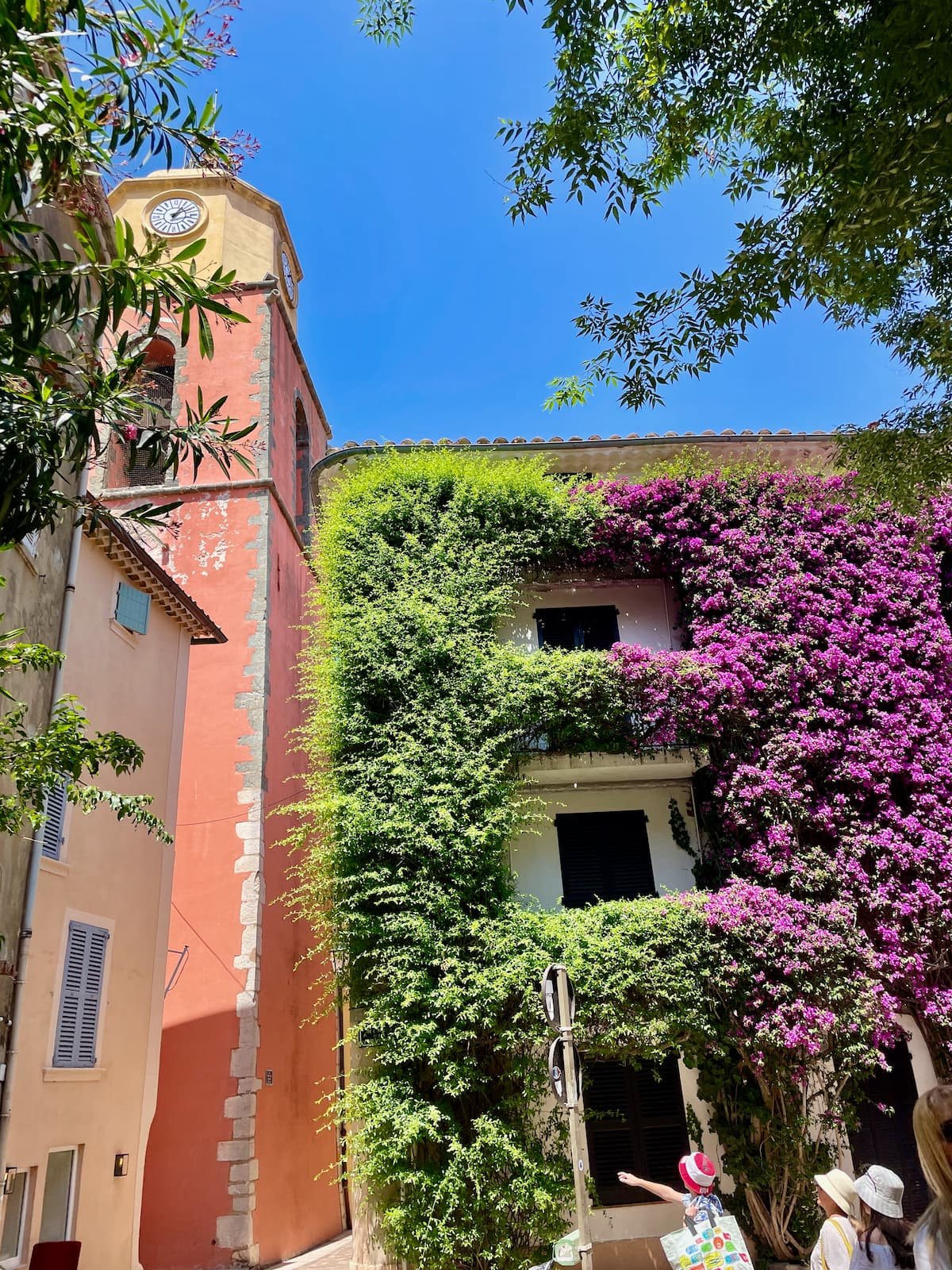 St Tropez flower buildings France
