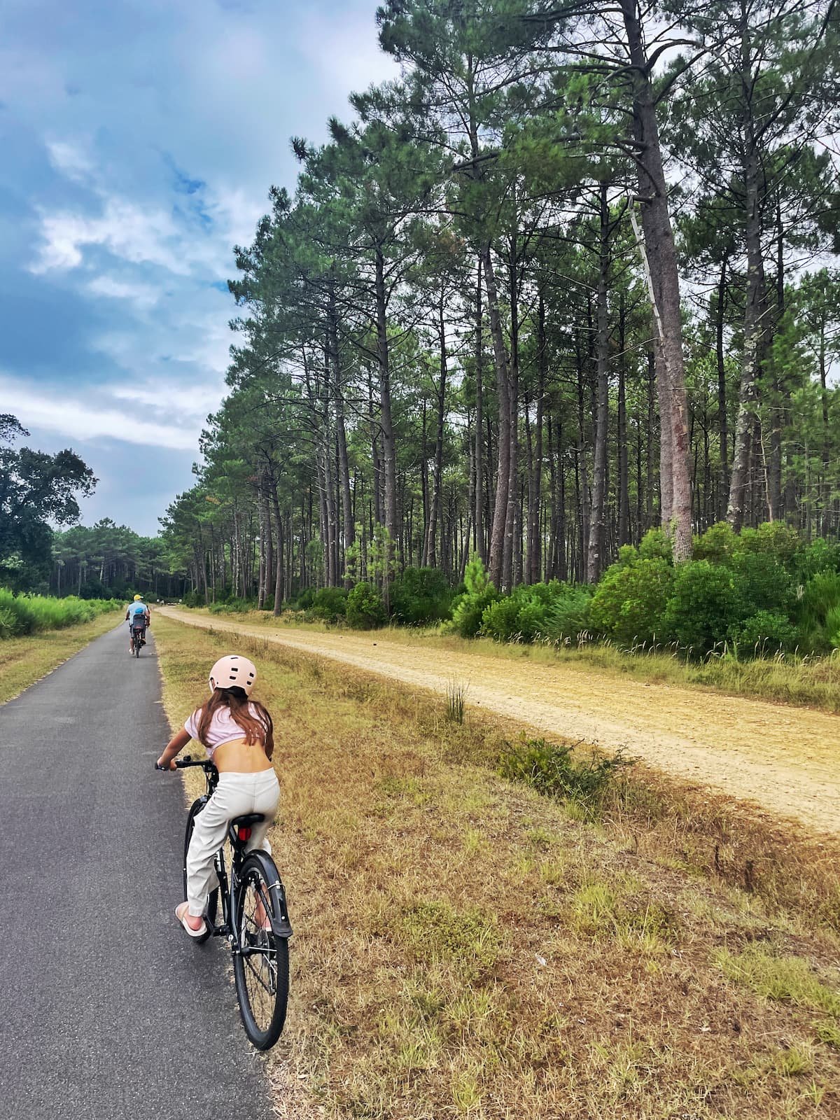 Cycling through the pine trees, France