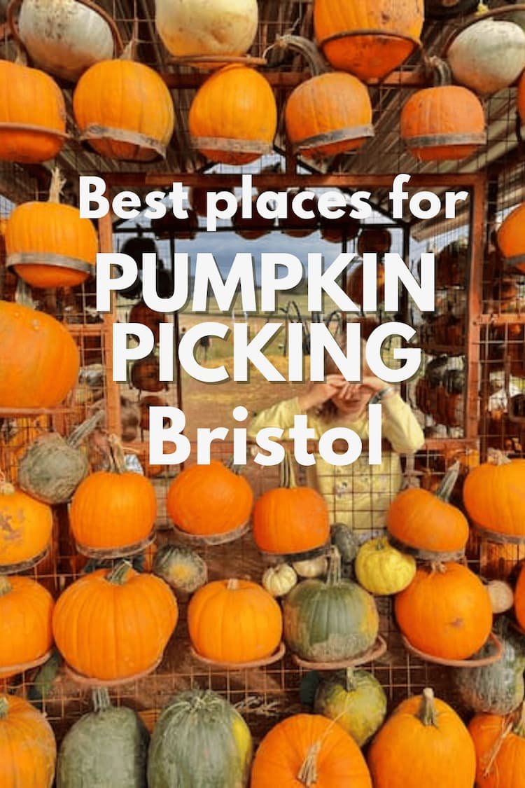 Best places for pumpkin picking bristol
