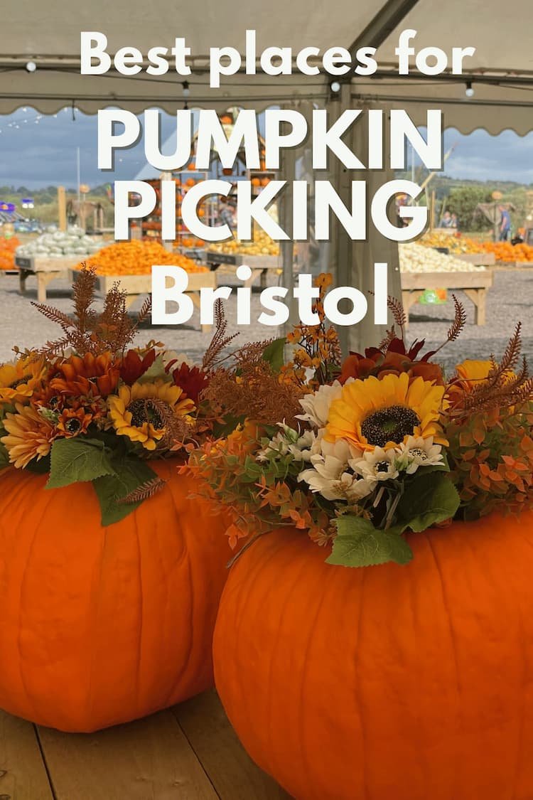 Best places for pumpkin picking Bristol