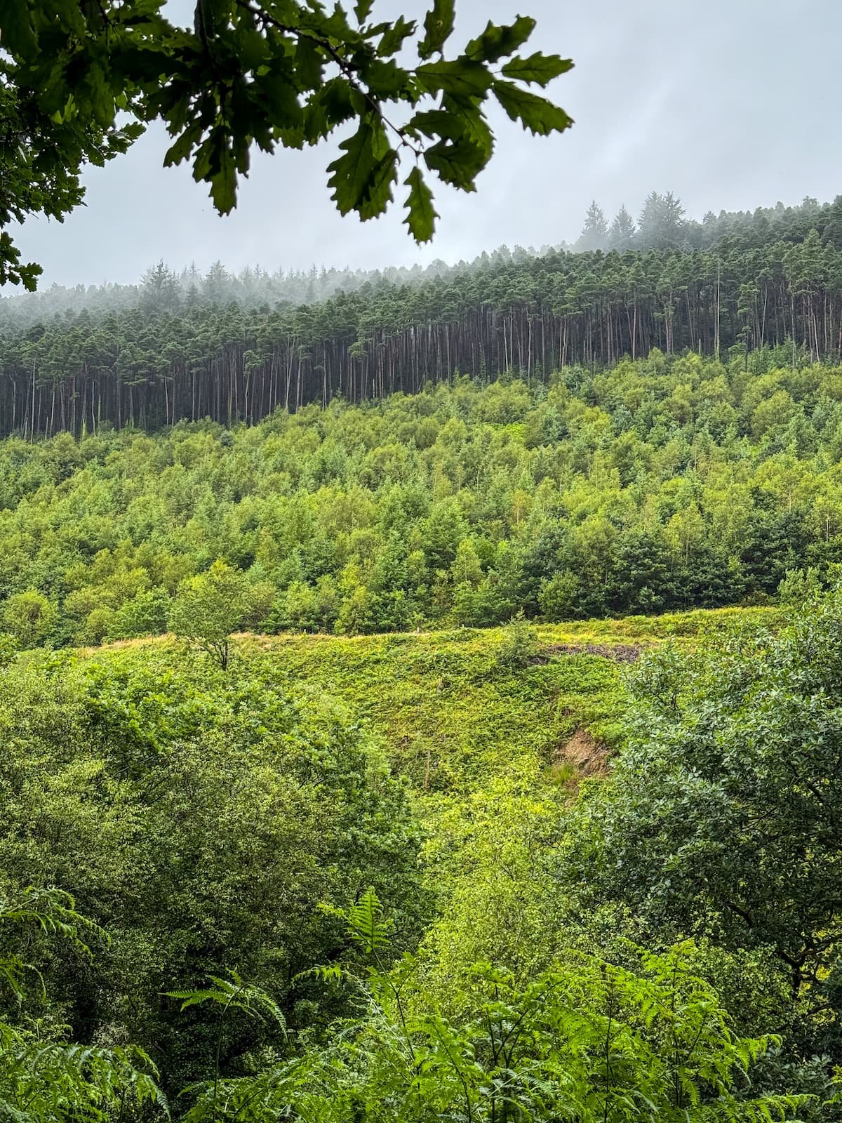 Afan Forest Park, Wales, Neath Port Talbot