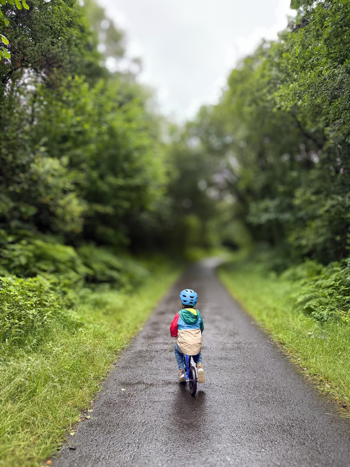 Old Parish Road Walk, Afan Forest Park Visitor Centre, Wales, Neath Port Talbot