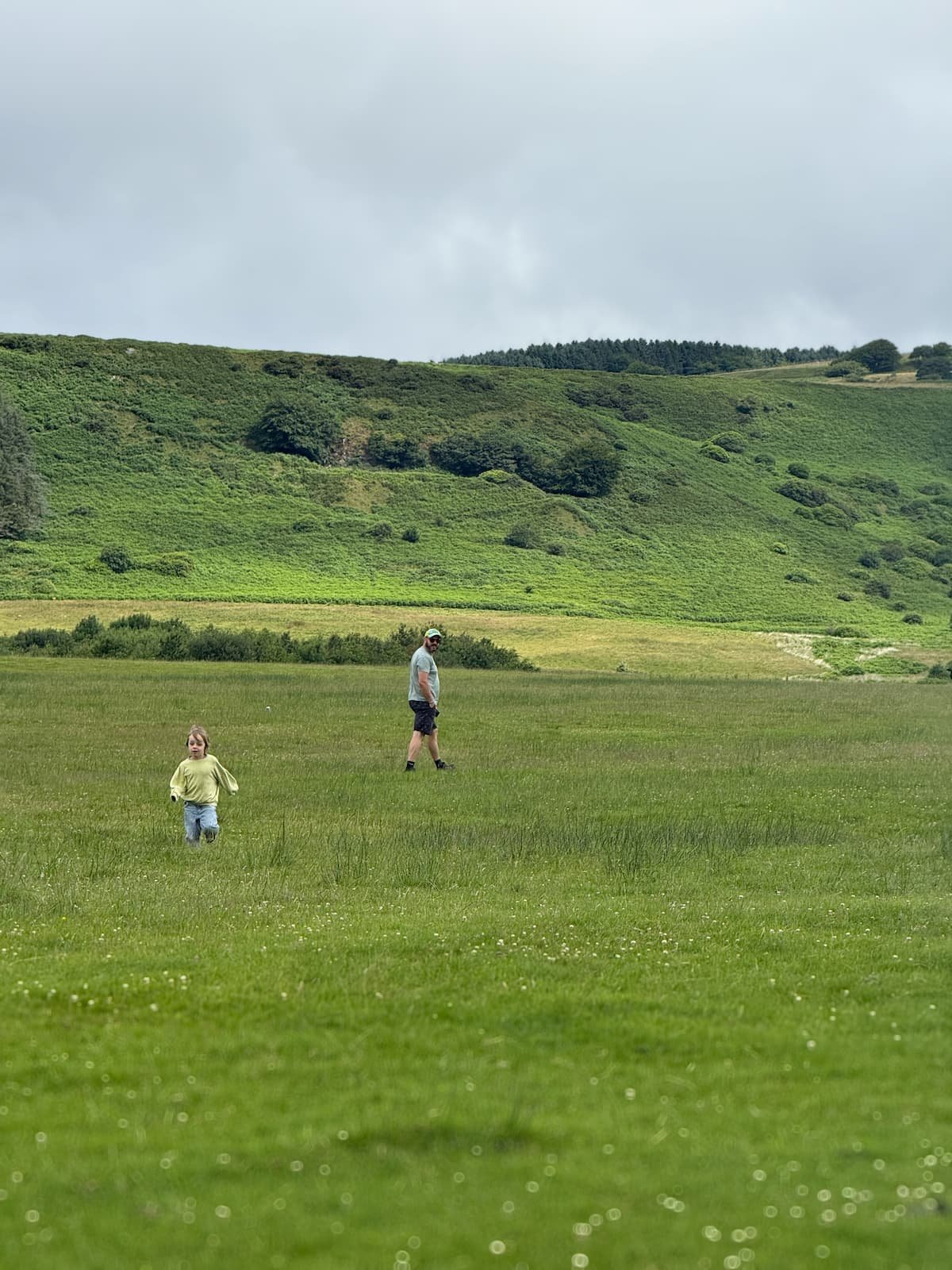 Margam Country Park, Neath Port Talbot, Wales