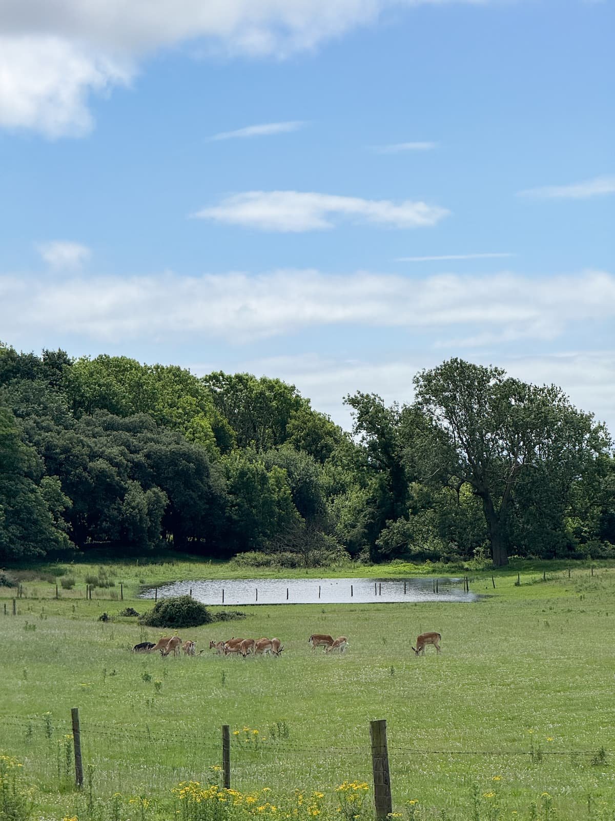 Margam Country Park, Neath Port Talbot, Wales
