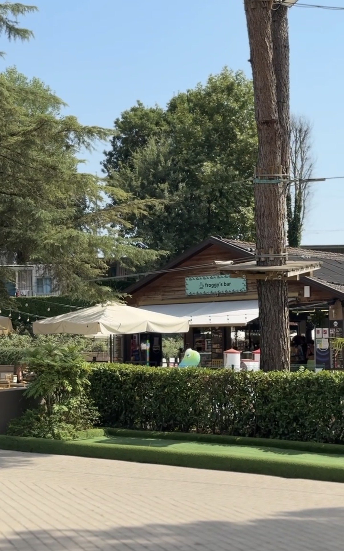 Eurocamp hu altomincio entertainment stage italy lake garda froggy bar peschiera del garda