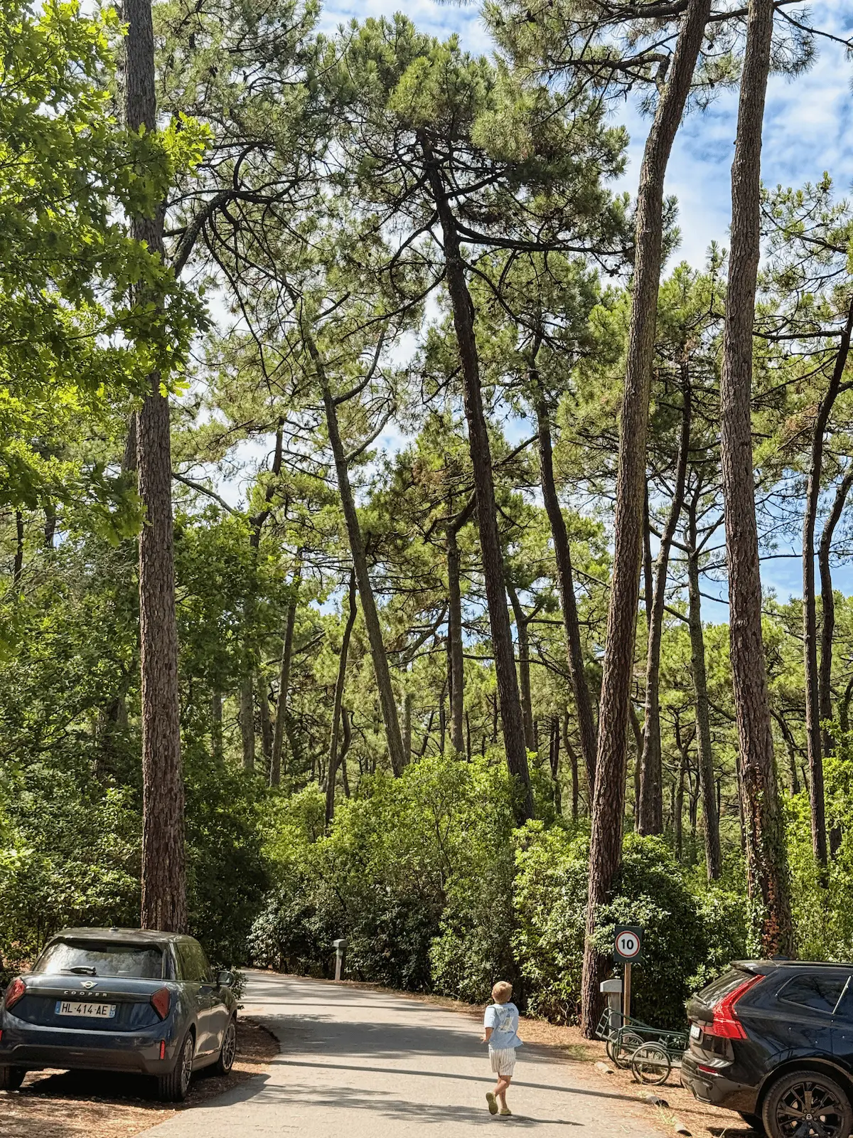 Huttopia Arcachon France pine forest
