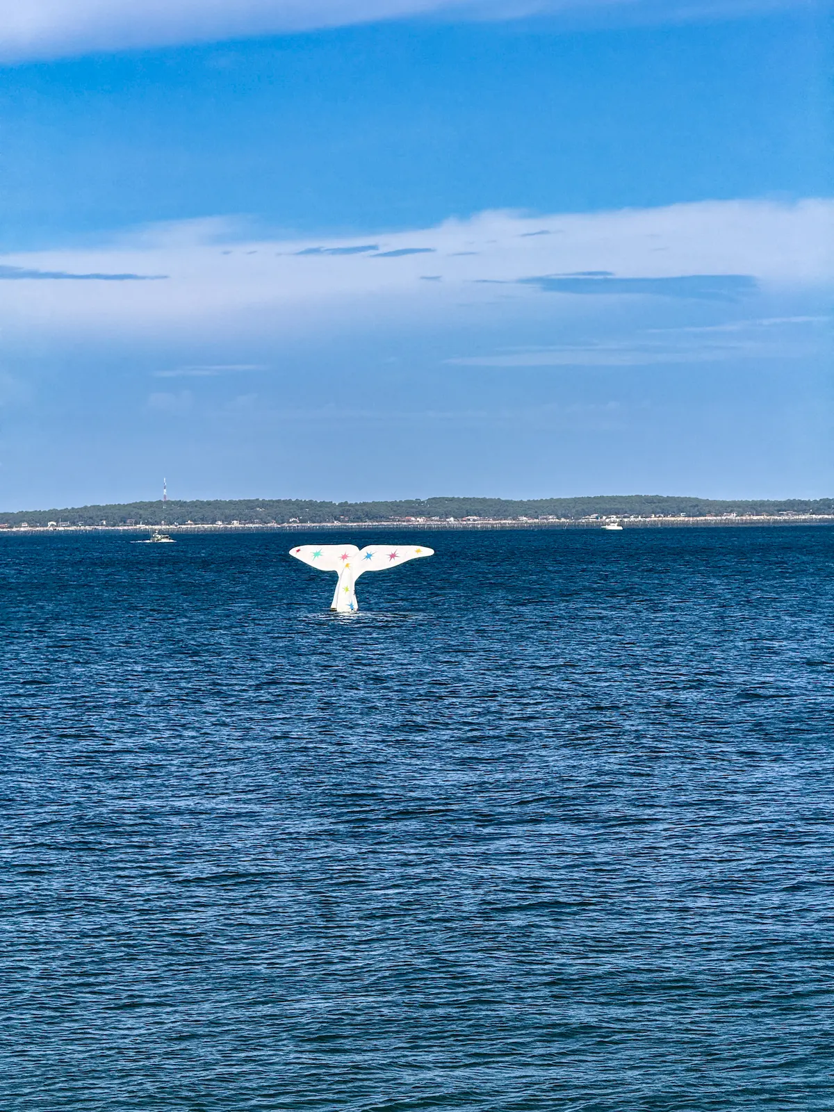 Whale tail Arcachon France