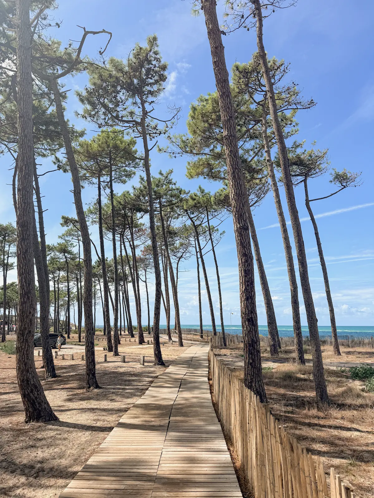 Plage Petit Nice