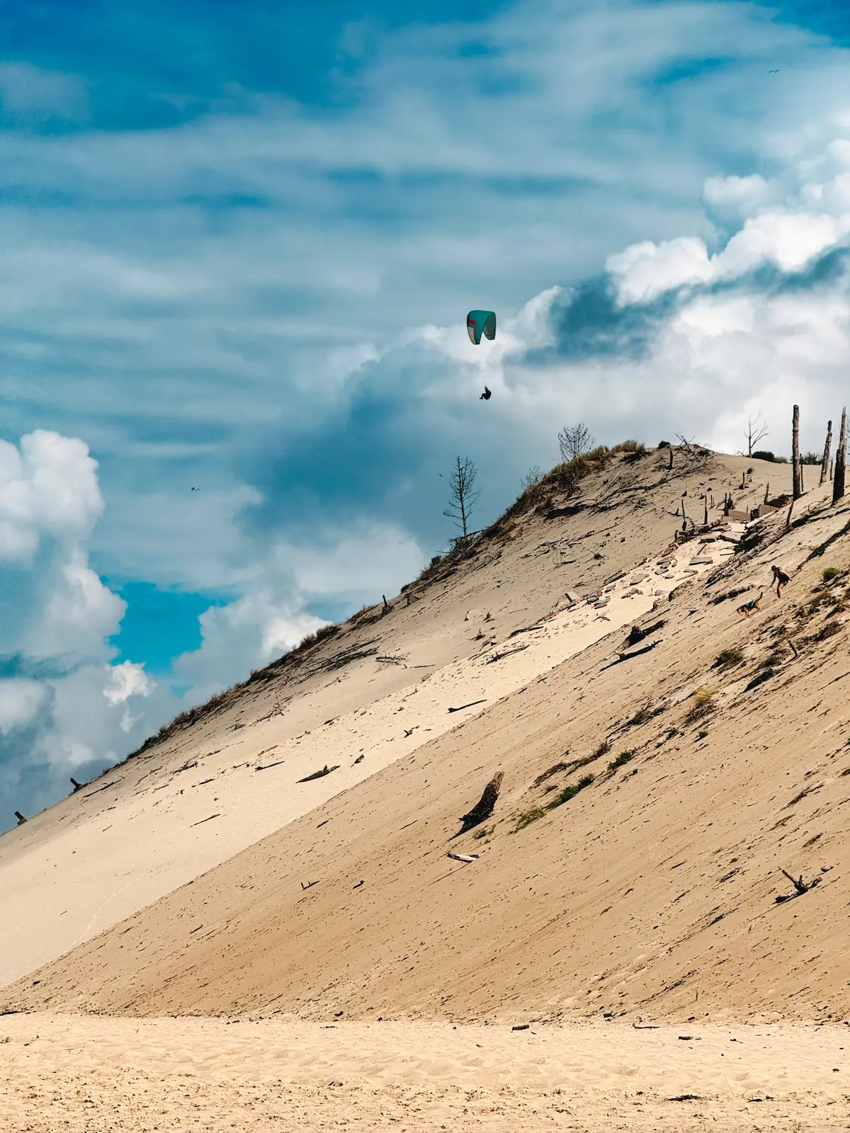 Plage Petit Nice Arcachon