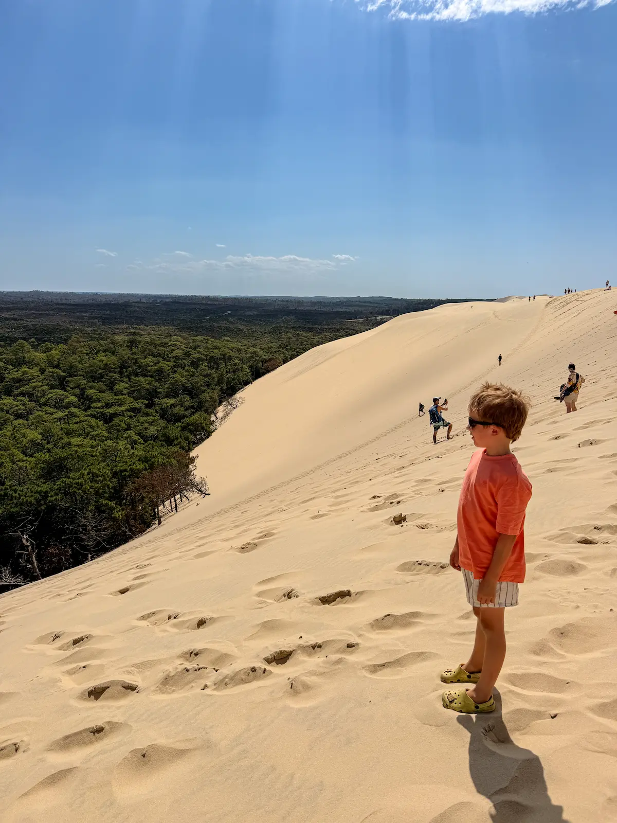 Dune du Pilat Arcachon sand dune, France pine forest view