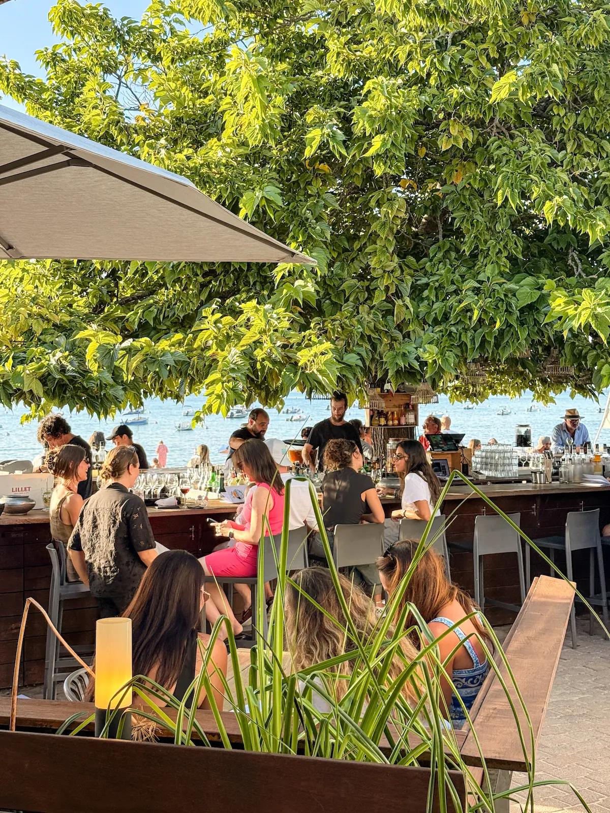 Arcachon Bikini restaurant and bar France