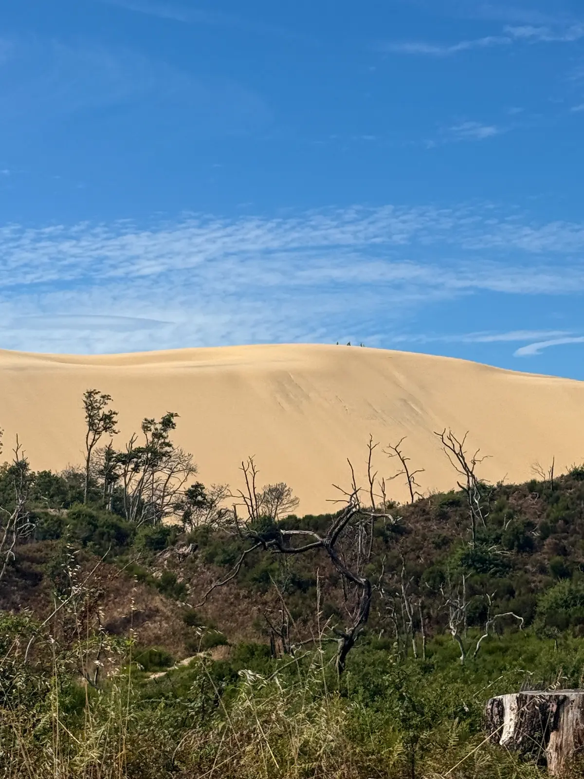 Dune du Pilat France Arcachon sand dune