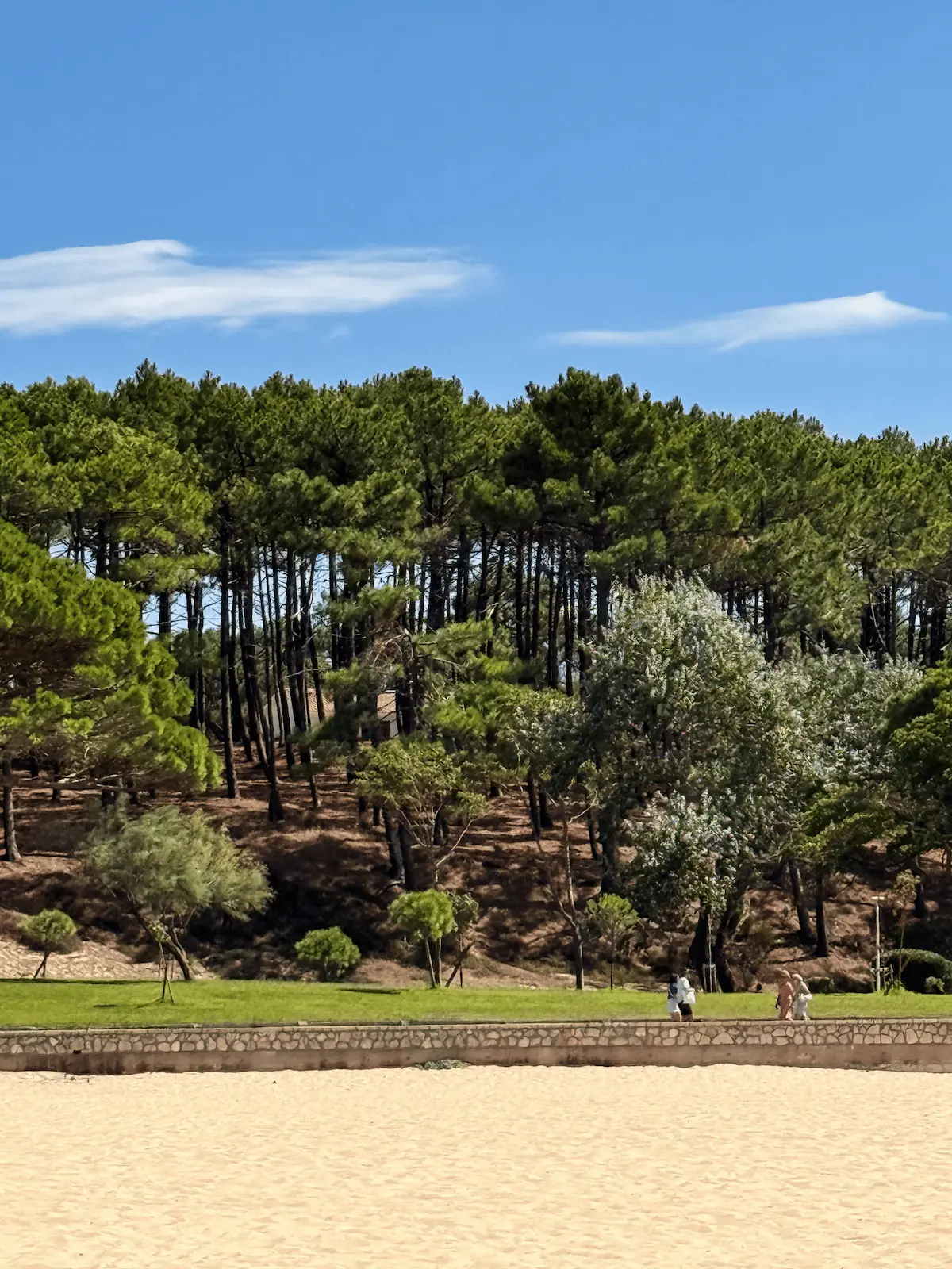 Plage Pereire Arcachon France